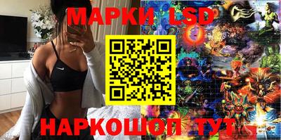 MDMA Premium VHQ Камышлов