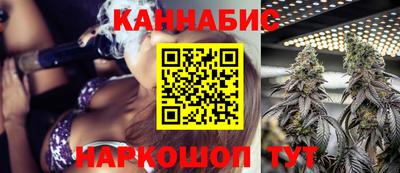 мяу мяу мука Кингисепп