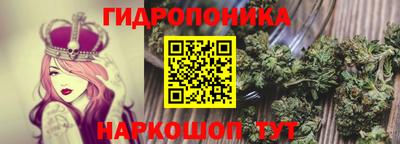 мяу мяу мука Кингисепп