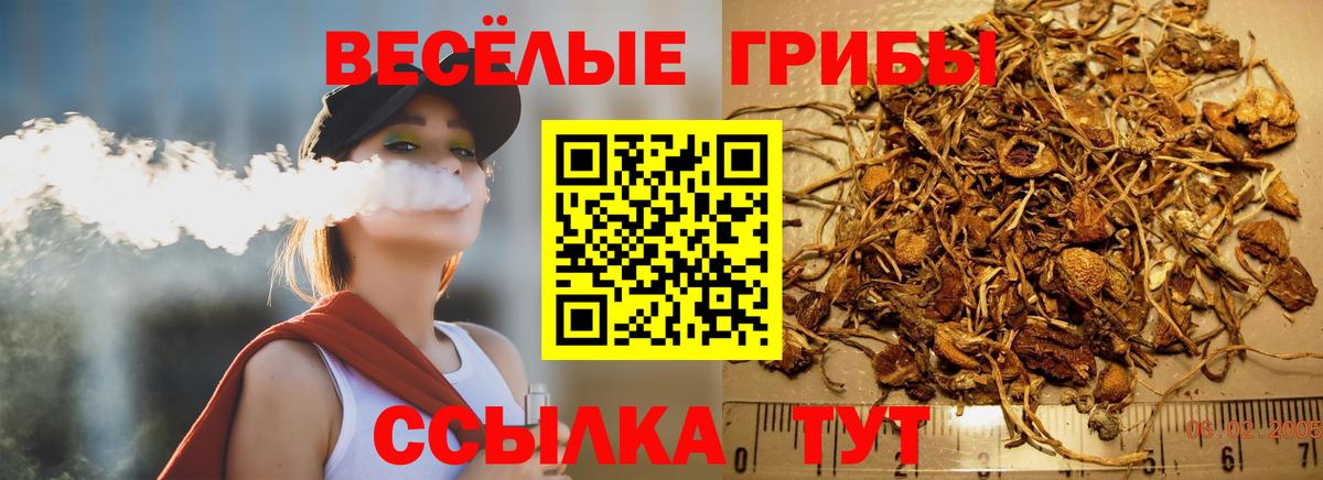 Нижнеудинск  Псилоцибиновые грибы GOLDEN TEACHER  Галлюциногенные грибы ЛСД  Вход с VPN 