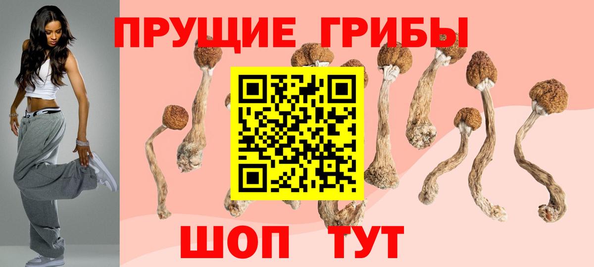 Галлюциногенные грибы Psilocybine cubensis Нижнеудинск